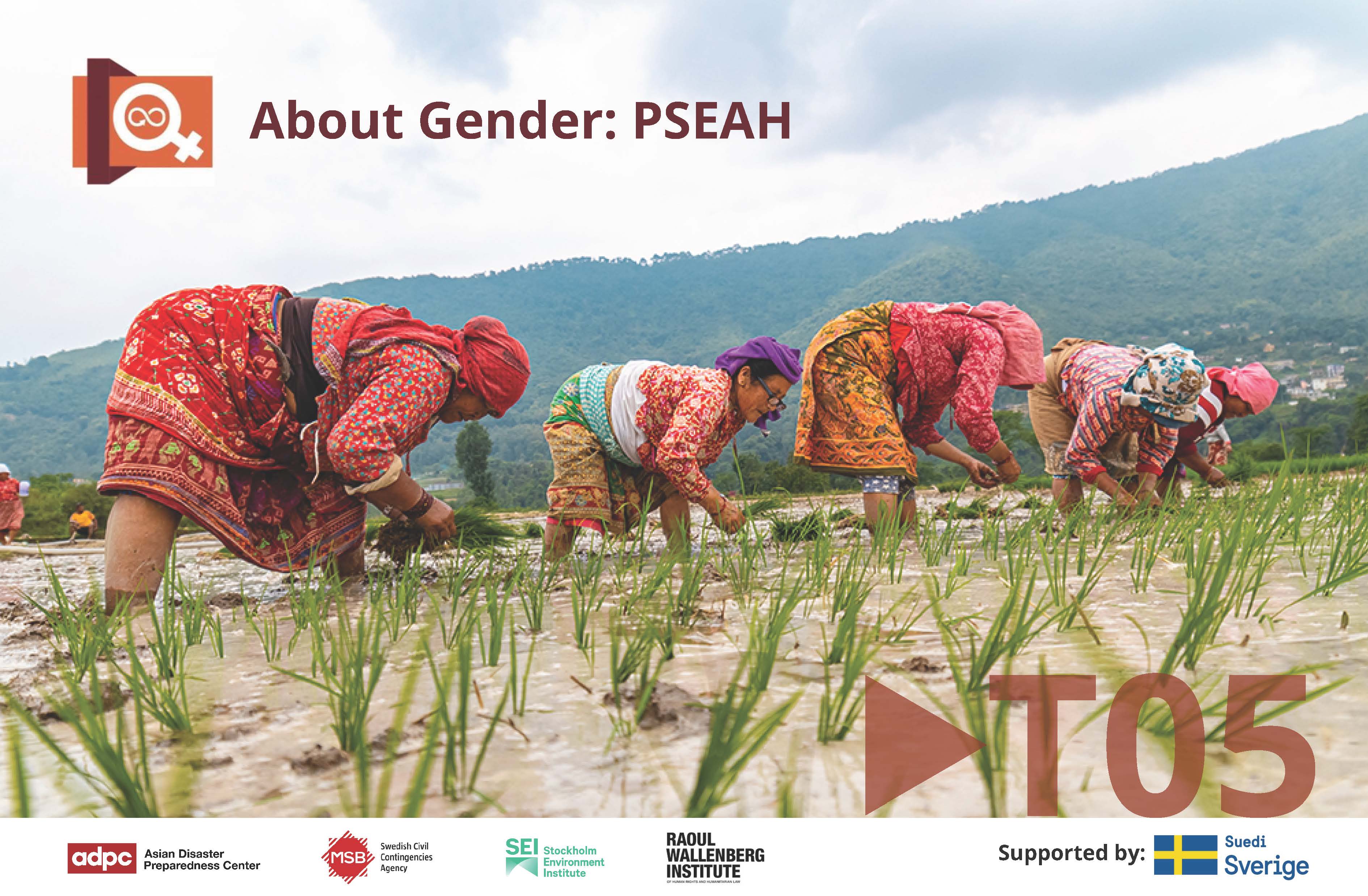 About Gender Series Topic 5: PSEAH BRDRT05