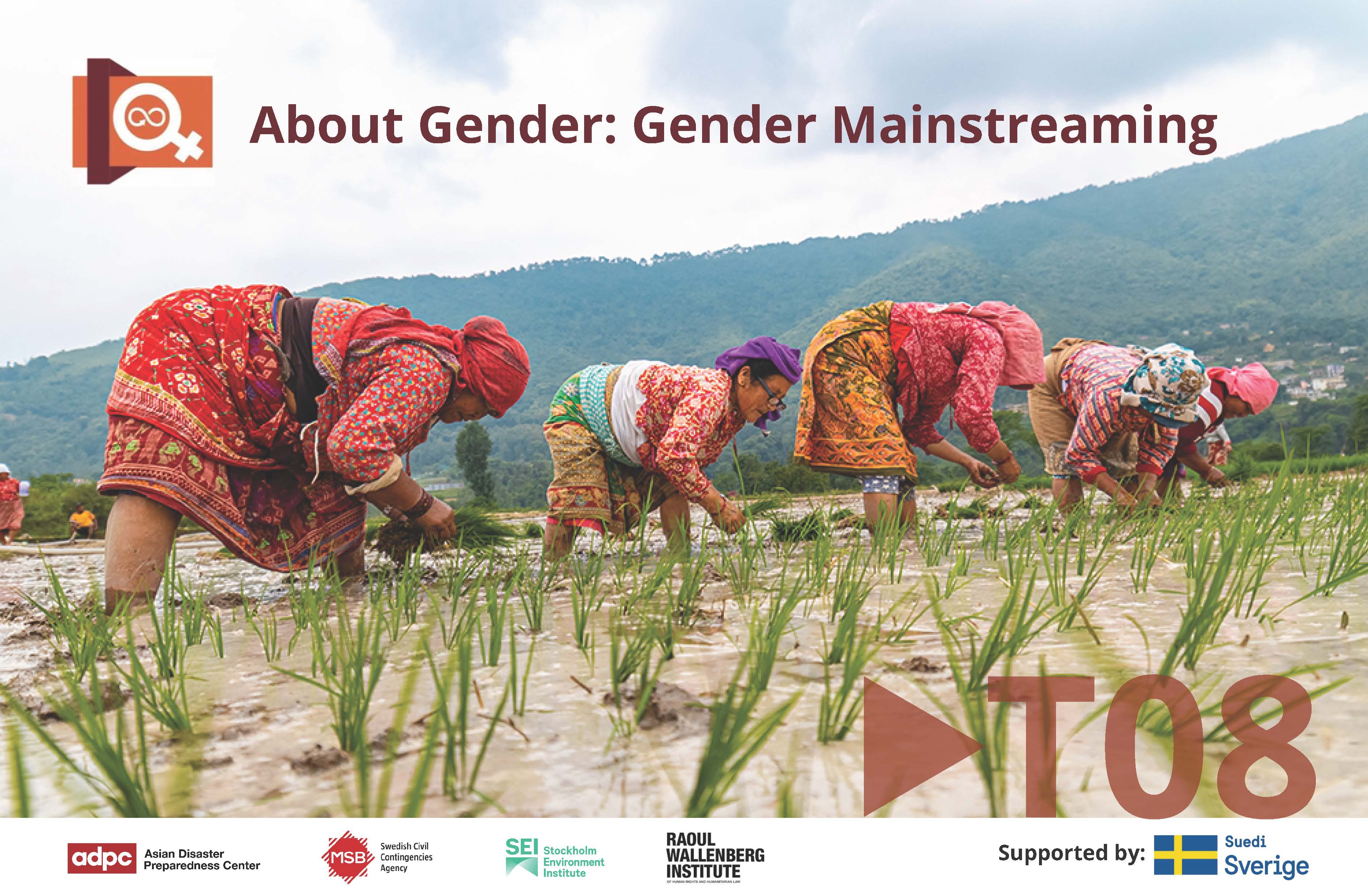 About Gender Series Topic 8: Gender Mainstreaming BRDRT08
