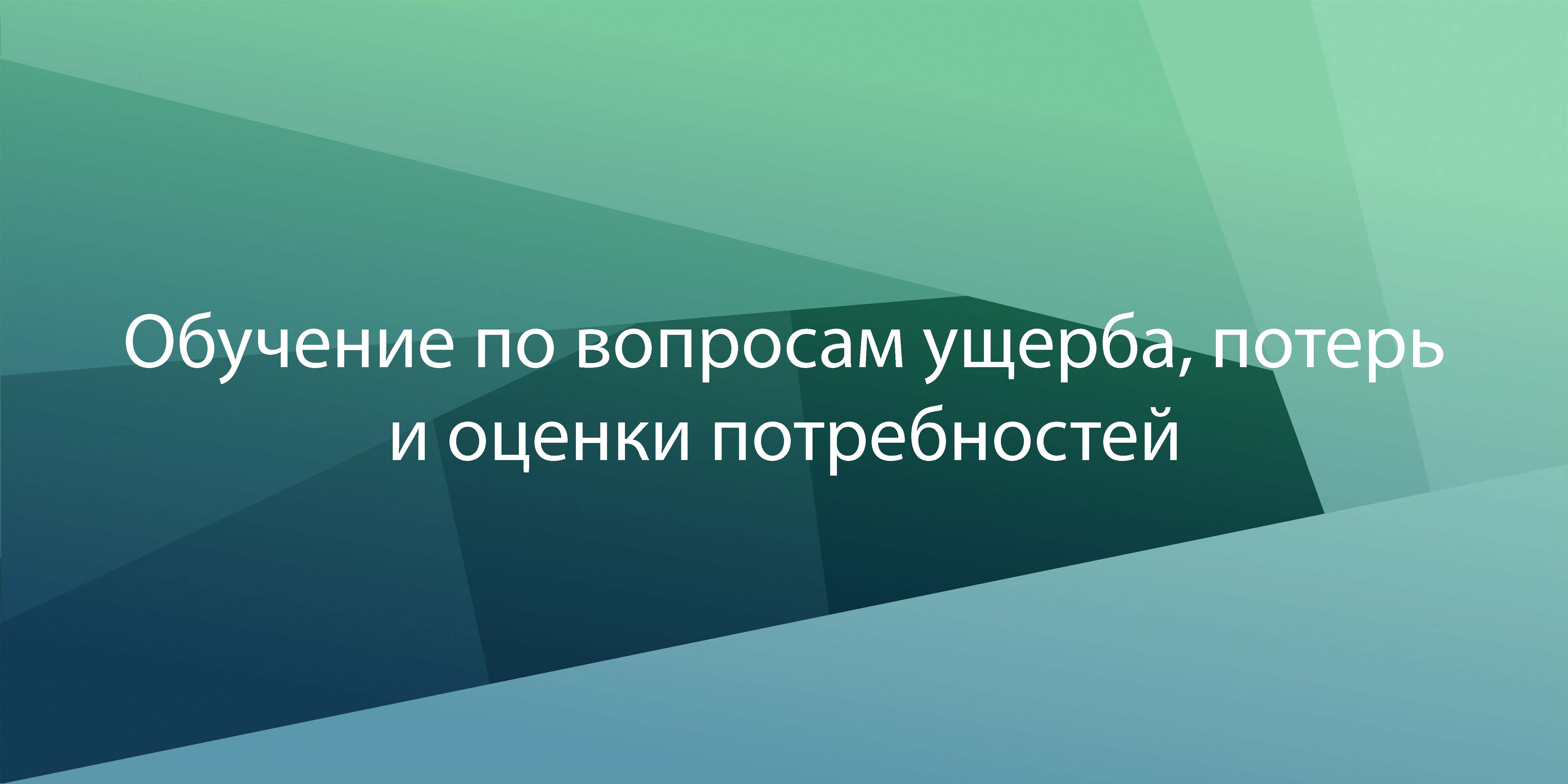 Курс по оценке ущерба, потерь и потребностей DLANA