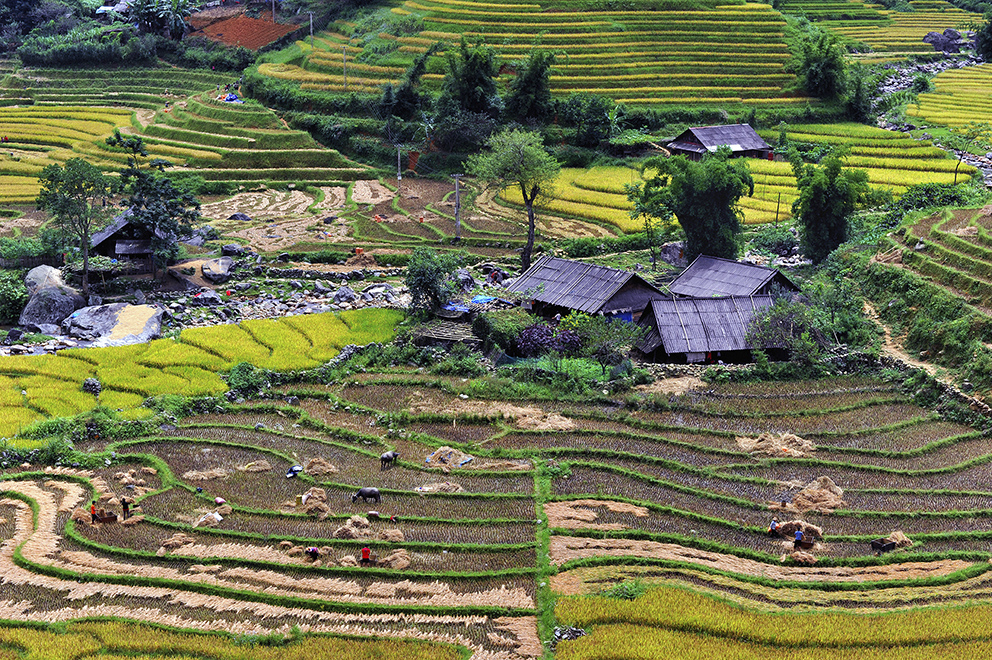 Disaster Risk Management for Sustainable Development Training Course DMC51